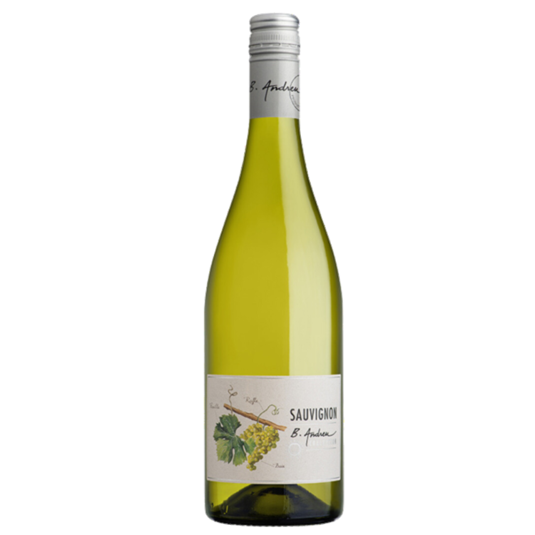 Bruno Andreu Aromatic Sauvignon 2023